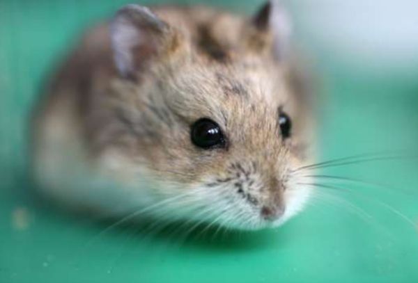 ��������Ҫע��Щʲô �������������ű�֪