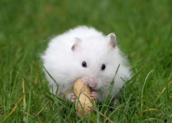 ��������Ҫע��Щʲô �������������ű�֪