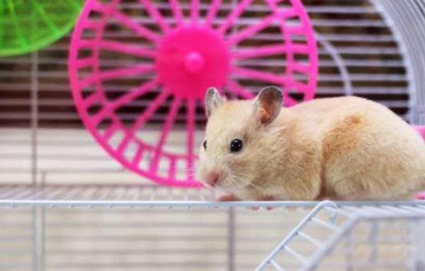 ��������Ҫע��Щʲô �������������ű�֪