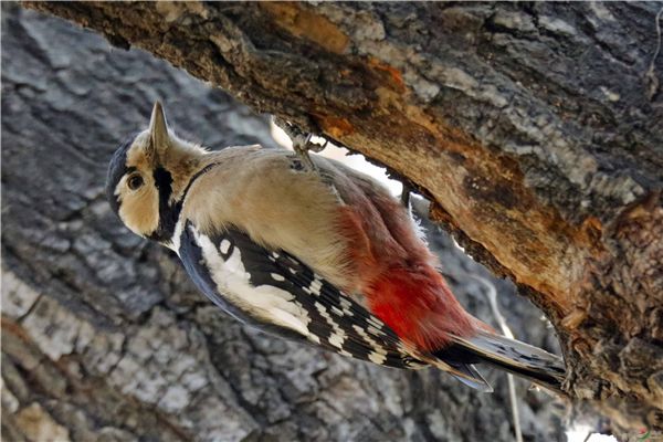 �����ľ������ϼ�� �����ľ���Ǽ�����������