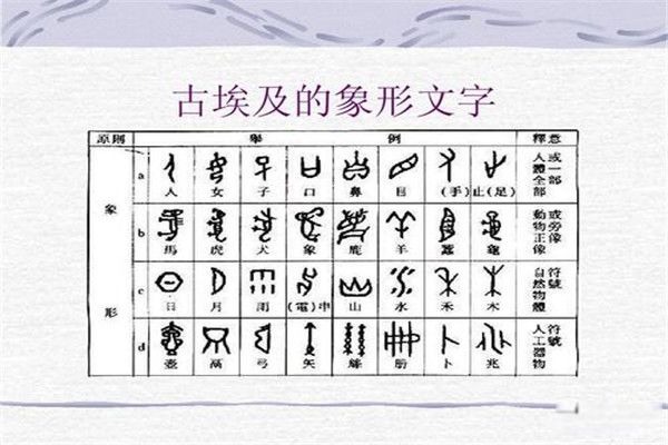 ����������ϵ�������������Щ �Ű�����������û�еõ����õĴ���