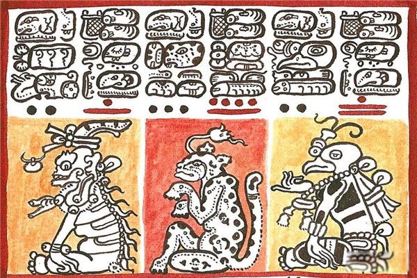 ����������ϵ�������������Щ �Ű�����������û�еõ����õĴ���