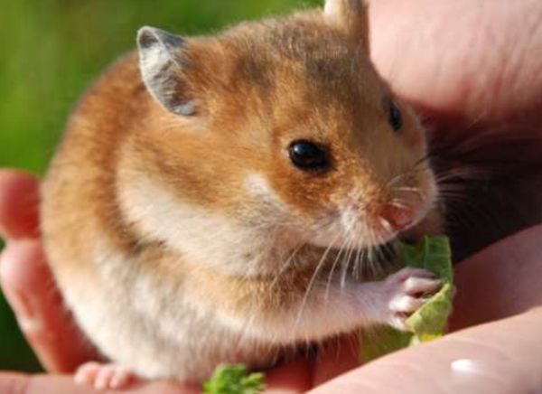 ��������Ҫע��Щʲô �������������ű�֪