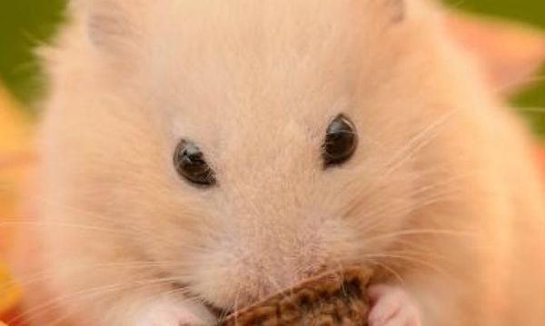 ��������Ҫע��Щʲô �������������ű�֪