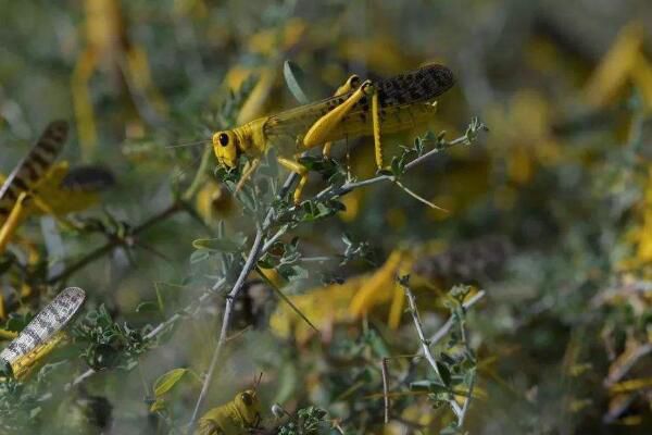 ����ʱ�ȳ��ܳ���?�ж��� ����ʱ�ȳ�Զ�����?��ĳ�����