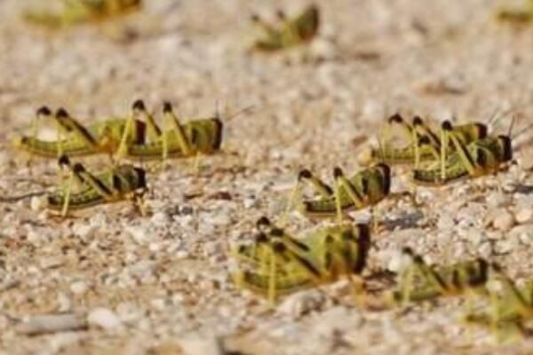 ����ʱ�ȳ��ܳ���?�ж��� ����ʱ�ȳ�Զ�����?��ĳ�����