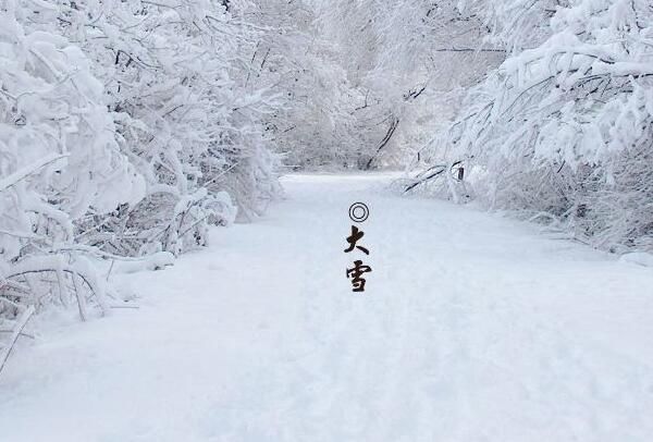 ��ѩ������ʲô��˼ ��ѩ�������ص�ͷ���