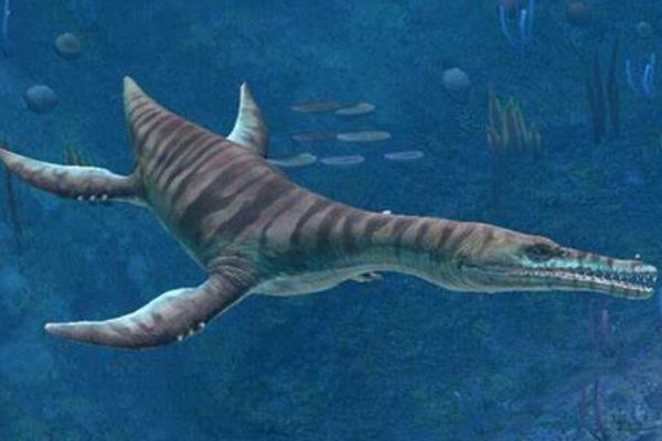 ��������ص���� �������һ���߾�����Ŀ