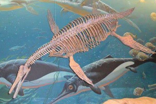 ��������ص���� �������һ���߾�����Ŀ