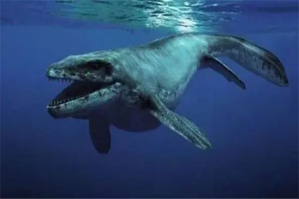 �ֲ��������а�ǰ���� ����˹������������Ҳ�ñ���