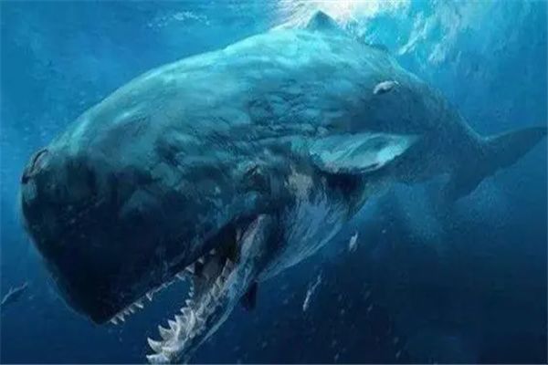 �ֲ��������а�ǰ���� ����˹������������Ҳ�ñ���