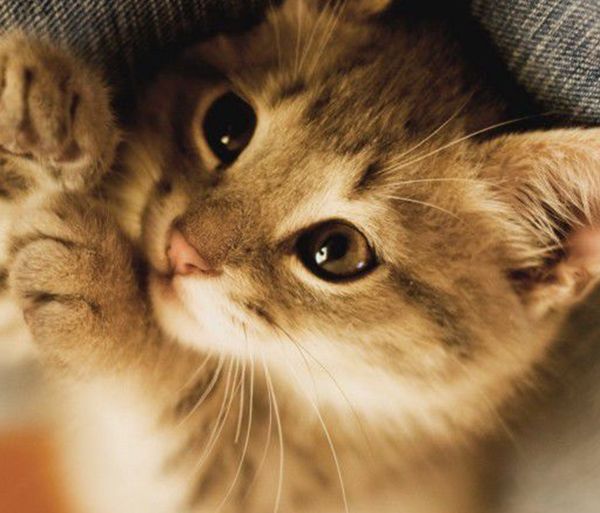 奇人奇事有哪些 奇人异事真实案例大全