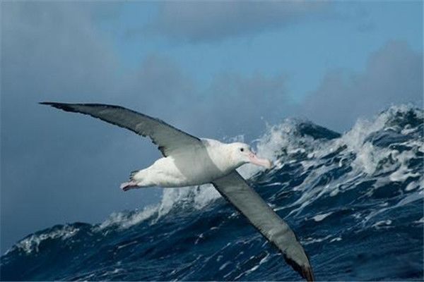 Ư�������̵���չ��Ŷ����� Ư������������������