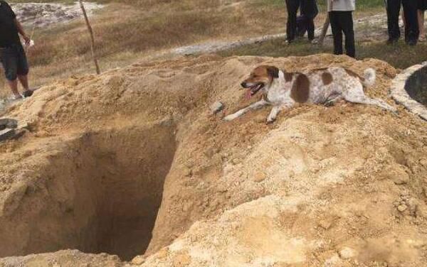 ����������������һ������ ����������ʲô����