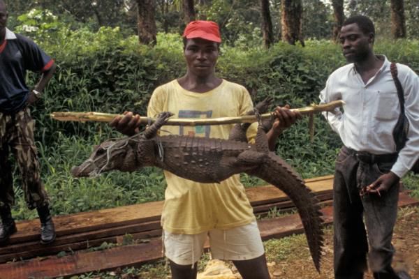 ����٪������ͼƬ��ʲô�� �ɲ����Լ���?�������Ǯһֻ