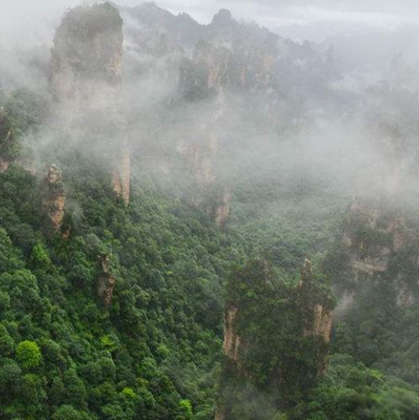 奇人奇事有哪些 奇人异事真实案例大全