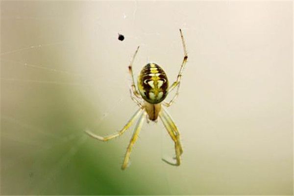 ���涯�����а�ǰʮ�� ӡ���������涯���������ܷ���Ӥ������