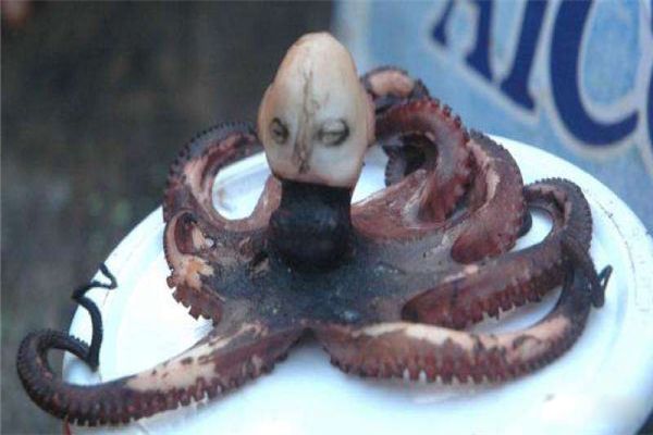 ���涯�����а�ǰʮ�� ӡ���������涯���������ܷ���Ӥ������