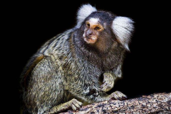 ��ͨ����ʲô���� ��ͨ�������ϼ��