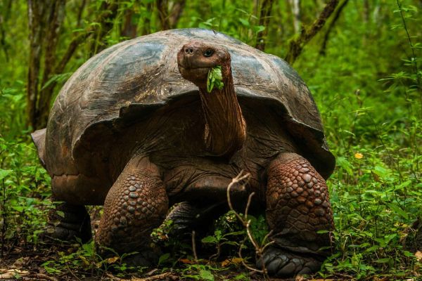 ������Ķ������ĸ����� ������Ķ���ǰʮ����