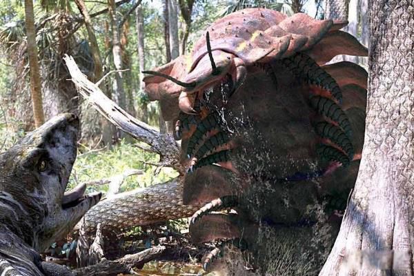 Զ�����泤ʲô��ͼƬ Զ������Ϊʲô���