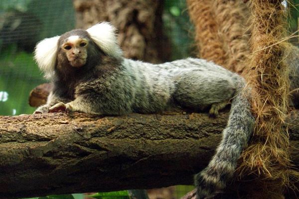 ��ͨ����ʲô���� ��ͨ�������ϼ��