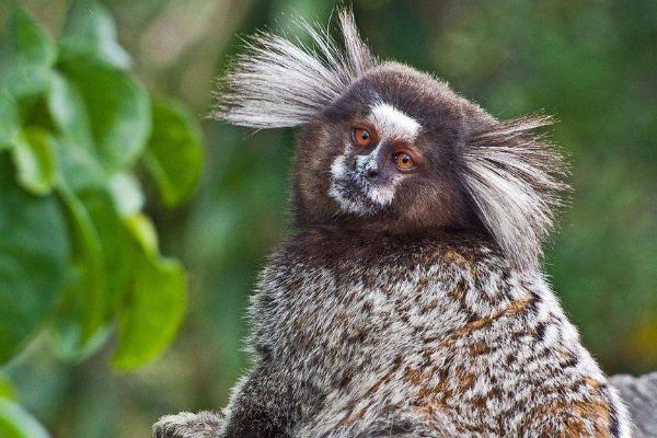 ��ͨ����ʲô���� ��ͨ�������ϼ��