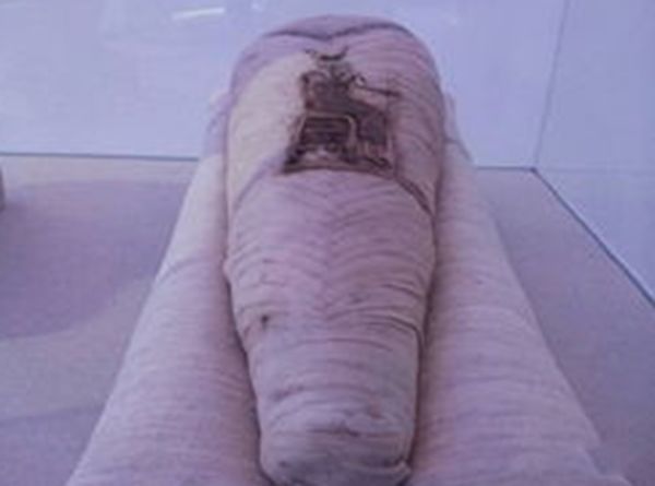 ʮ��������¼���ʲô ʮ��������¼��ڶ�����������