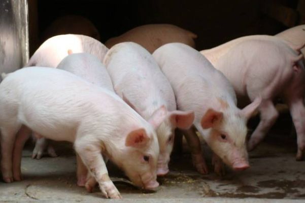 ���������ڶ�����ŵڼ��� �����ж��?�൱������ļ���?