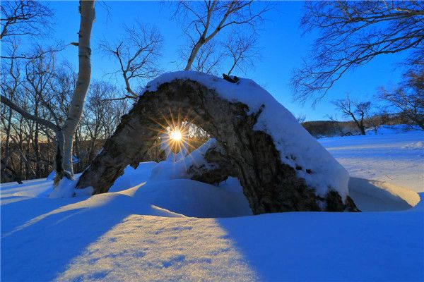 ��������ıȸ���Ӳ�� ������Ӳ���Ƕ���