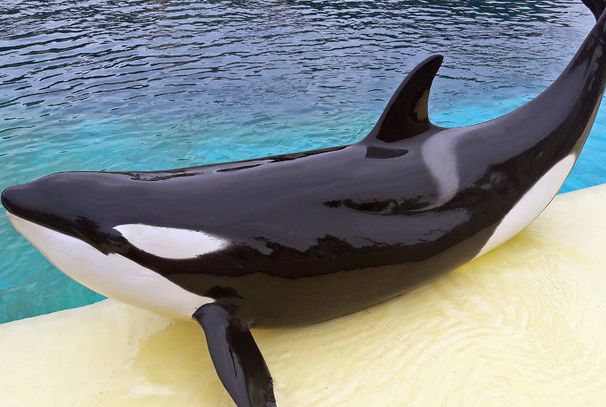 �����Ǻ��໹�Ǿ���? �����������ʲô������