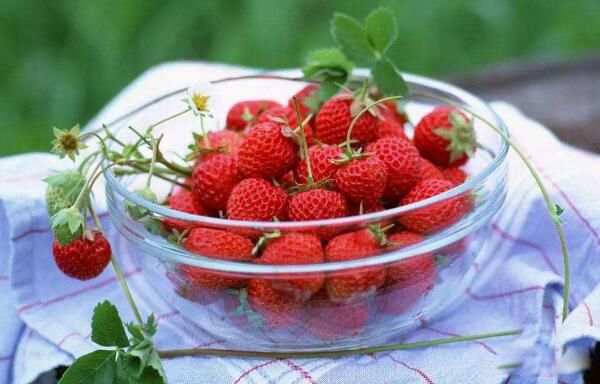 ��ݮ�ܷű��䱣���� ��ݮ�����ʱ��