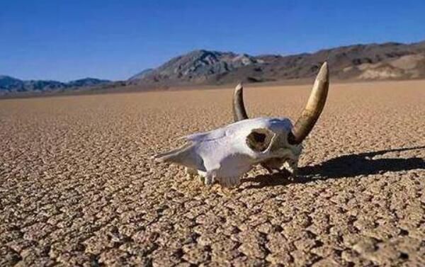 ������������������ ����������ȵ���λ����ʲô�ط�