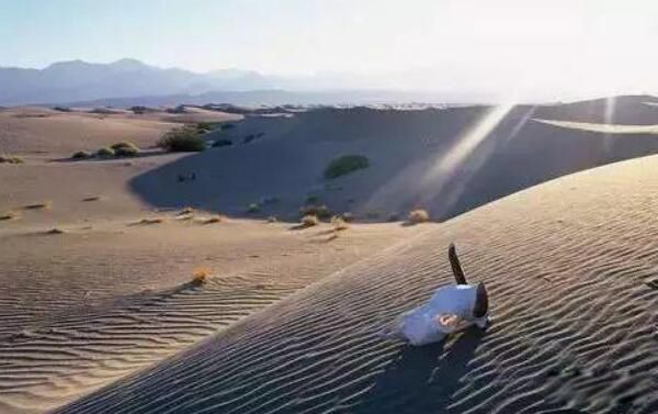 ������������������ ����������ȵ���λ����ʲô�ط�