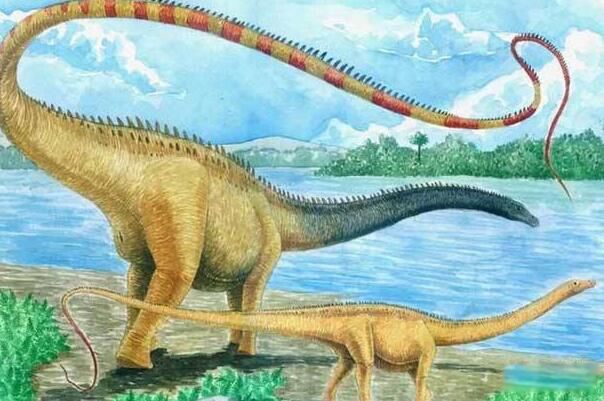 ��������ʲô���� �����������ж��