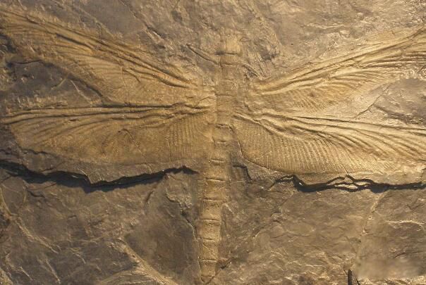 ��������ͼƬ�ж��? ���������������