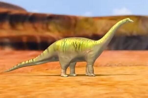 ��������ʲô���� �����������ж��