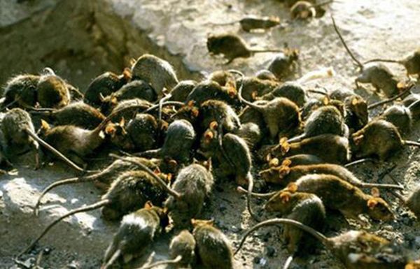 �������˴���ʲôΣ�� ������������ô�ܳ�������