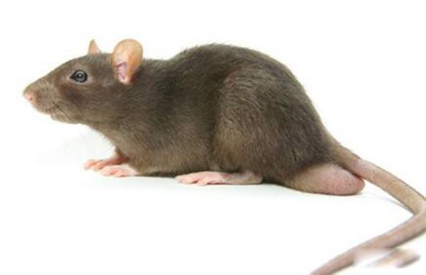 �������˴���ʲôΣ�� ������������ô�ܳ�������