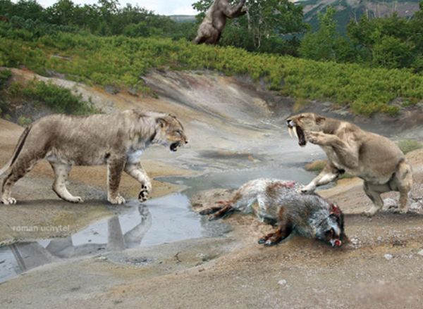 �б�ʨ�ͽ��ݻ�˭���� �б�ʨ�ͽ��ݻ����Ͷ��