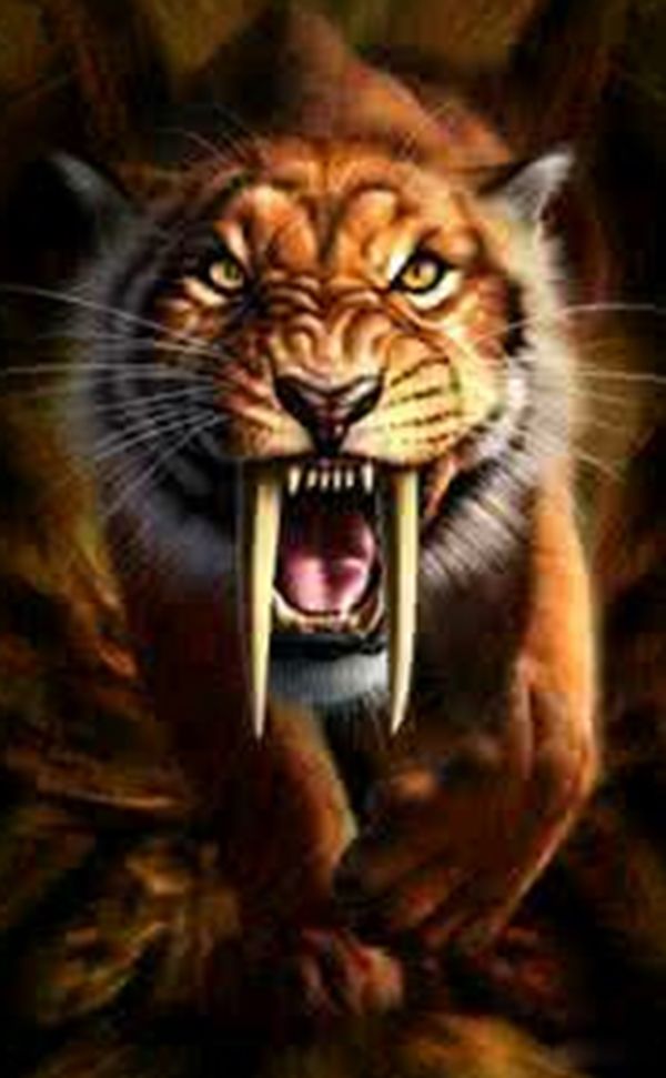 �б�ʨ�ͽ��ݻ�˭���� �б�ʨ�ͽ��ݻ����Ͷ��