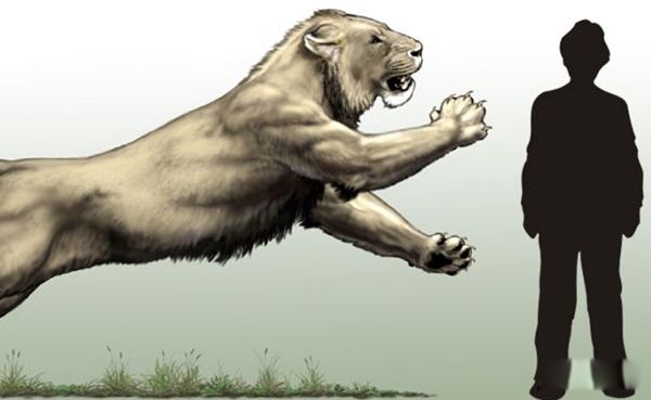 �б�ʨ�ͽ��ݻ�˭���� �б�ʨ�ͽ��ݻ����Ͷ��