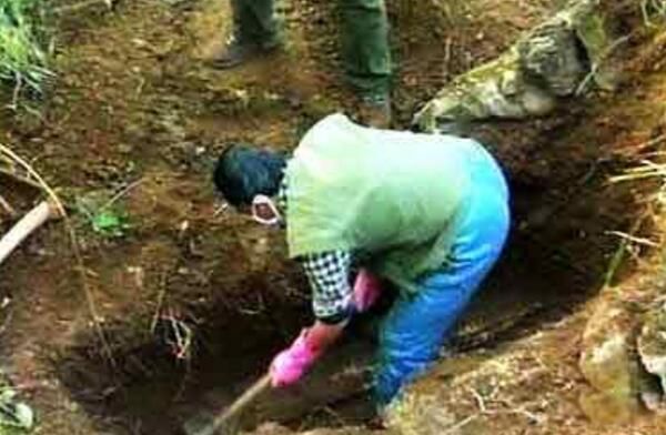 ����֮����ʵ�¼� ������ʲô��?�ǲ���Ұ�˵ĺ��