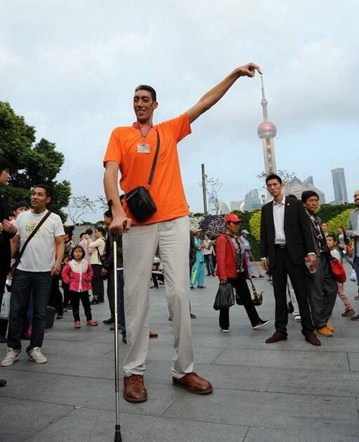 ��ߵ����ն�̹����ɭ�ж�� �ն�̹����ɭ�ͳ�����ʲô��