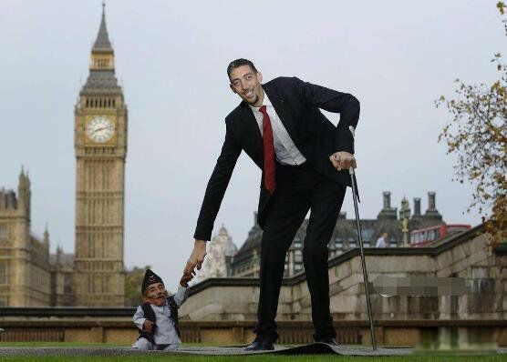 ��ߵ����ն�̹����ɭ�ж�� �ն�̹����ɭ�ͳ�����ʲô��