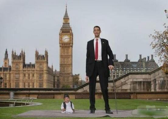 ��ߵ����ն�̹����ɭ�ж�� �ն�̹����ɭ�ͳ�����ʲô��