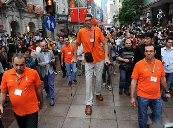 ��ߵ����ն�̹����ɭ�ж�� �ն�̹����ɭ�ͳ�����ʲô��