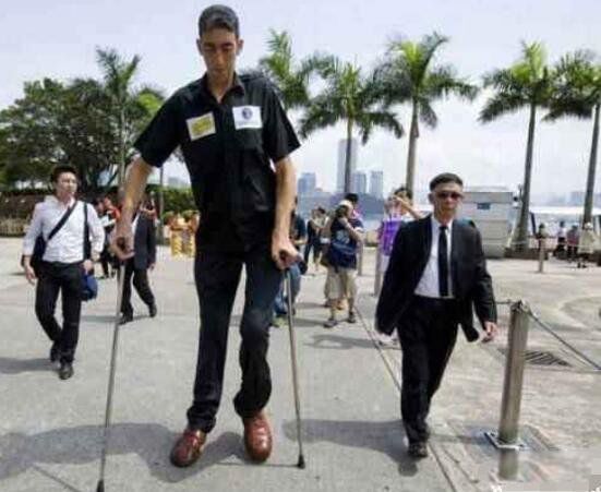 ��ߵ����ն�̹����ɭ�ж�� �ն�̹����ɭ�ͳ�����ʲô��