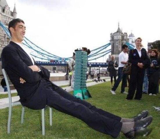 ��ߵ����ն�̹����ɭ�ж�� �ն�̹����ɭ�ͳ�����ʲô��