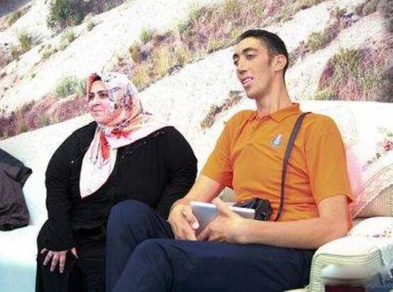 ��ߵ����ն�̹����ɭ�ж�� �ն�̹����ɭ�ͳ�����ʲô��